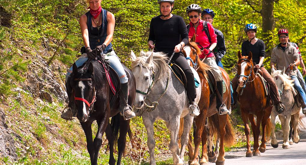 Horse Riding
