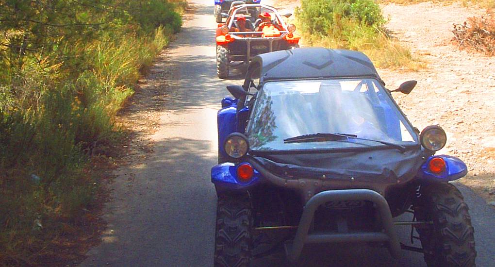 Buggy Safari