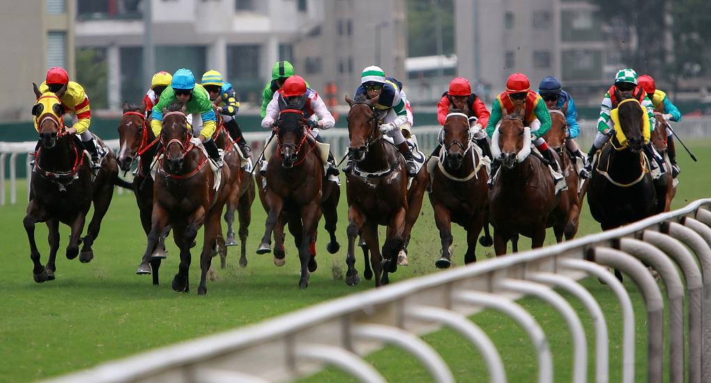 Horse Racing
