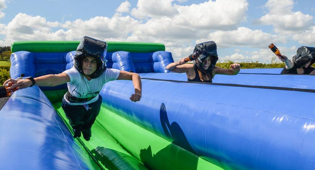 Hens race each other and the bungee to top the leaderboard