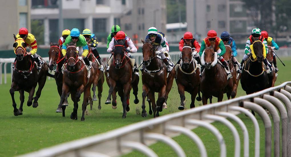 Horse racing is great for stag dos that like a flutter