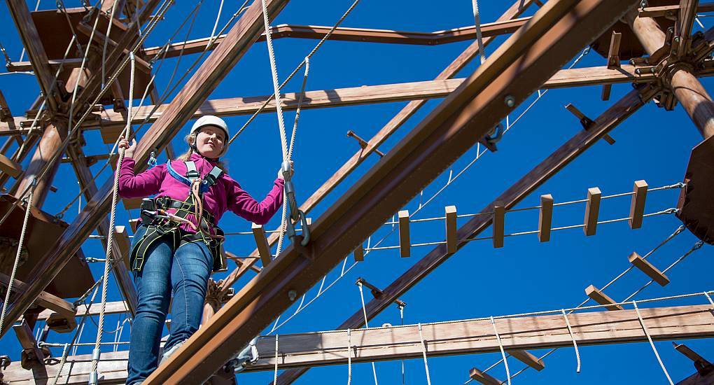 Hen tackling a High Ropes Course